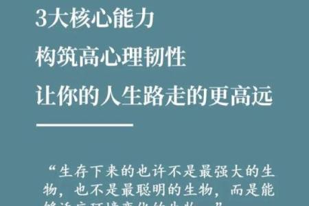 命里有楠竹命：揭示人生的韧性与希望之路