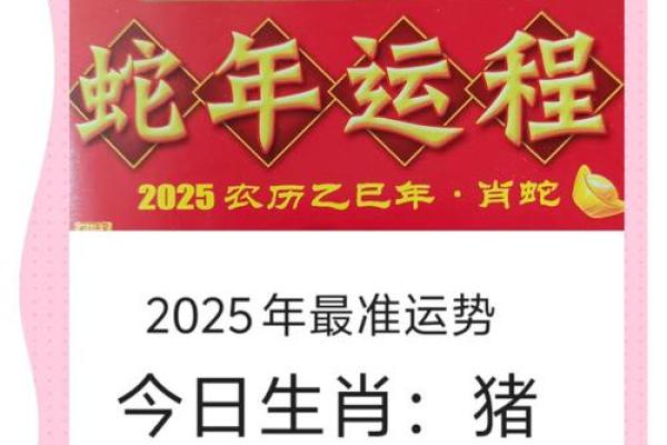 1996年属猪的人命运解析：生活的多彩与挑战
