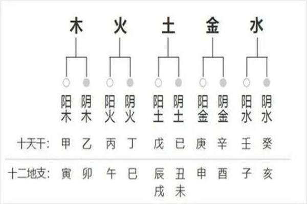 了解男命八字，寻找儿子之象的深层含义