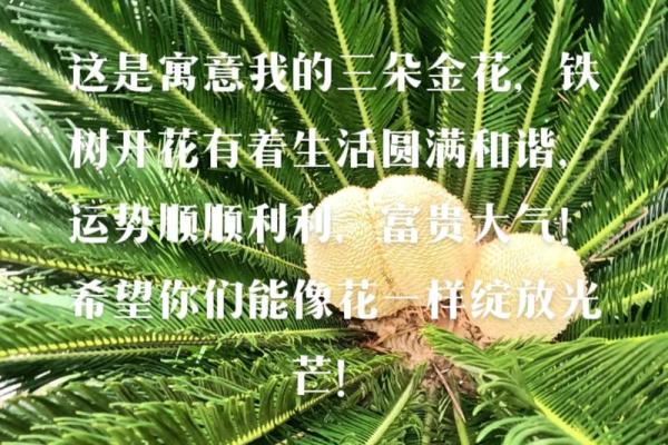 绿色命理：揭秘命里带绿的幸福与好运