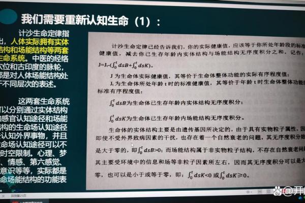 以命力博命力：理解人生中力量的对决与选择