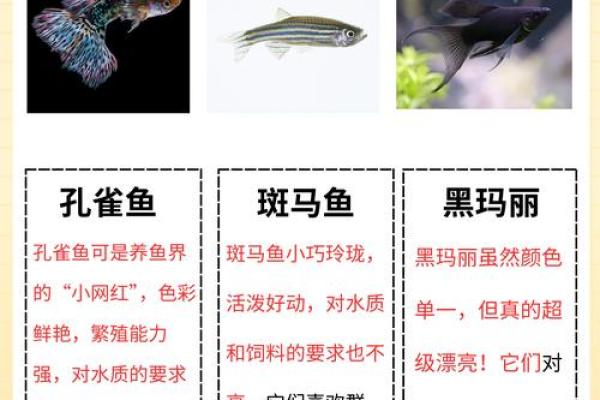土命人养鱼的注意事项，助你轻松搭建水族世界！