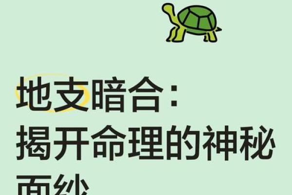 阴历正月十九出生的人命运解析：揭开命理的神秘面纱