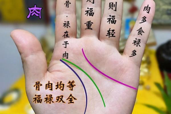 没掌纹，寻觅命格中的秘密与人生走势
