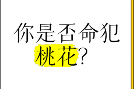 男人说桃花命：命运与爱情的微妙联系