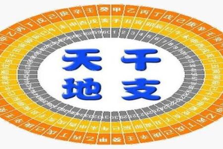 戊午庚申时：探寻命理背后的命运之旅
