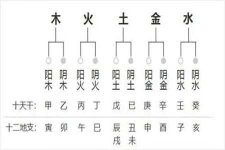 了解男命八字，寻找儿子之象的深层含义