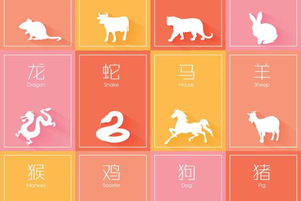 怨命与生肖：揭开生肖鼠的神秘面纱