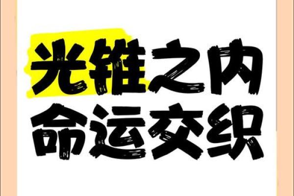 命运交织：成语接龙中的智慧与哲理