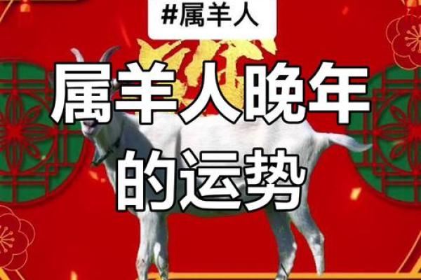 1979年属羊的人命里缺什么？如何通过养生改善运势！
