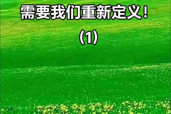 探寻命理中的木命：生命的蓬勃与灵性之美