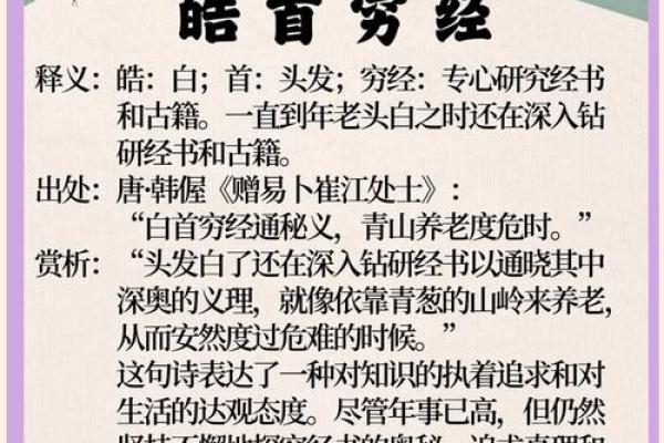 杨振宁的命格揭秘：传奇科学家的命运与选择之路