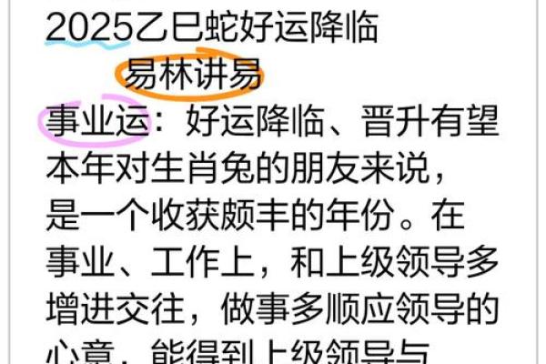 2025年属兔之命有什么特色？深入解析兔年的五行之道与运势机遇