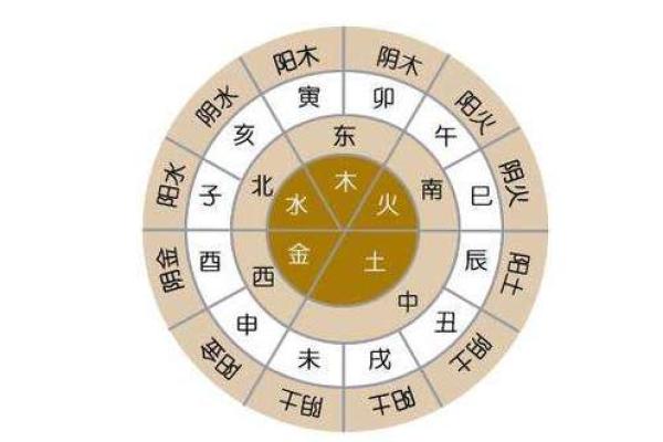 1995年出生者的命运探究：在五行中寻找属于你的方向