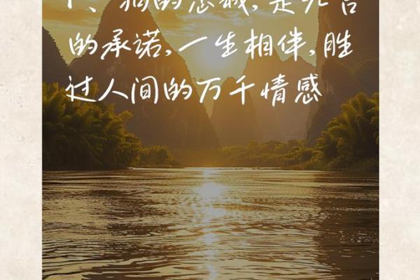 2018年狗年命运解析：与忠诚相伴的生活智慧