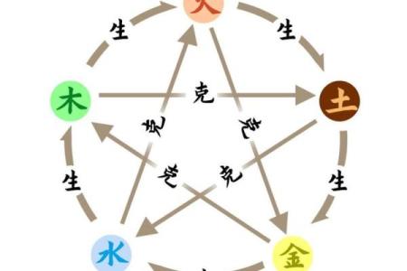 探讨土命与金命的区别及其在命理中的重要性