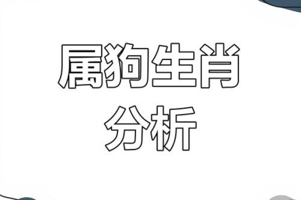1979年属狗人的命运解析：探索他们的性格与人生轨迹