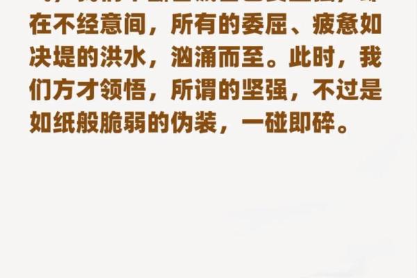 命如薄纸，人生的脆弱与坚韧之美