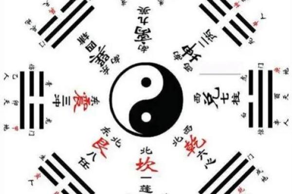 解读农历2月19出生的命格：八字里的秘密与人生启示