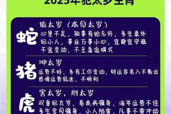 揭秘最长命生肖：永恒之寿的背后秘密