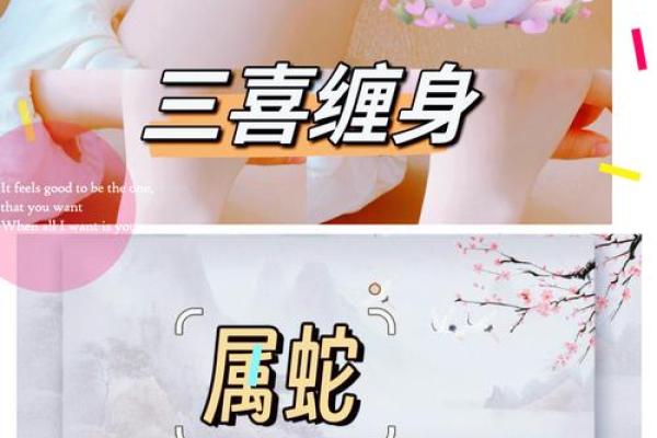 揭秘最长命生肖：永恒之寿的背后秘密