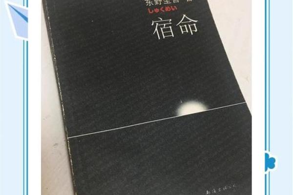 命的魅力：探索命运中的音韵与哲学之美