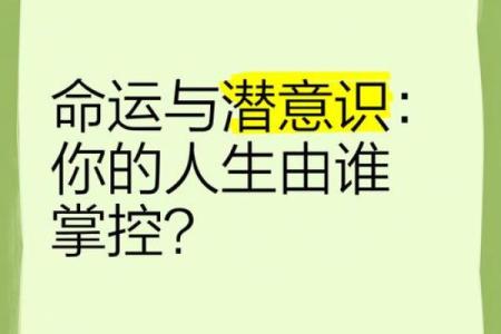 一九二九年命运解析：探索数字背后的神秘力量与人生指引