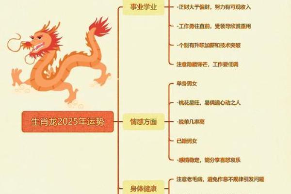 1952年属龙的命运与人生轨迹探讨