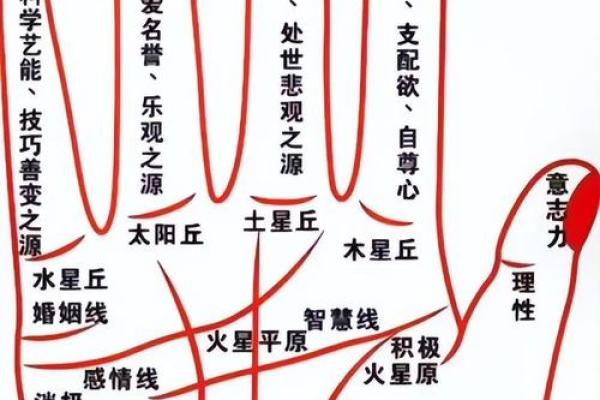 智慧线短的男人，命运如何？解读命理与性格的关系