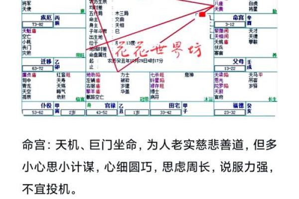 赵本山的命格解析：从艺术天赋看人生轨迹与成功之路