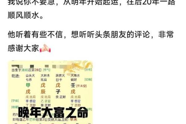 乙酉年生人命格解析，探索属于你的幸运与机遇