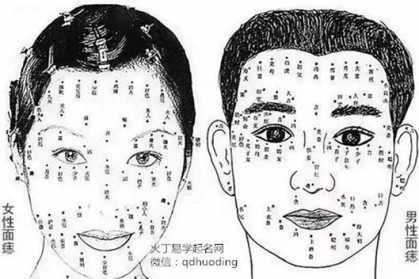 天上的天女是何命 解读她们的命运与个性特征