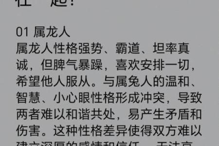 1952年属龙的命运与人生轨迹探讨