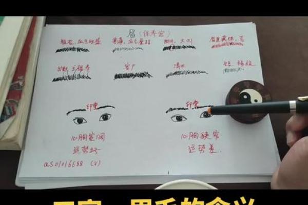 天生没有眉毛的命运：揭示眉毛与命理的秘密