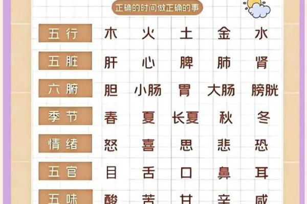李康弘命理五行揭秘：如何运用五行理论提升生活质量？