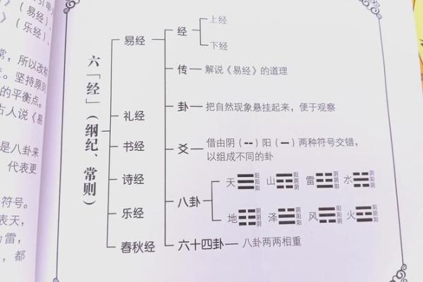 揭示易经命理学的神秘面纱，探寻其基本原则与应用价值