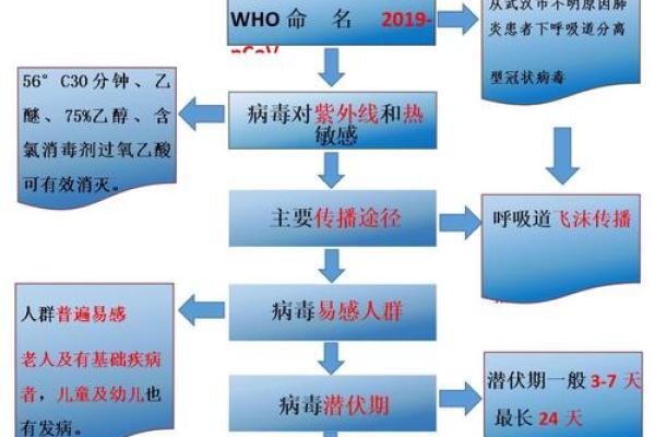 新型冠状病毒疾病的全面解析：影响、预防和未来前景