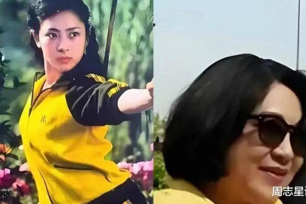 李连杰妻子属相及其命理解析：揭开幸福背后的秘密