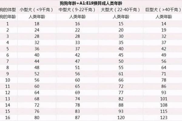 2006年属狗的人：命运与生活的深度解析