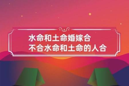 路边土命的行业选择：找到适合你的事业之路