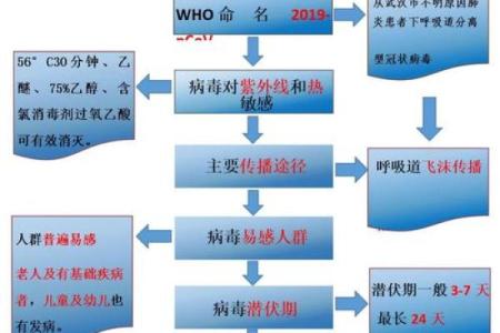 新型冠状病毒疾病的全面解析：影响、预防和未来前景
