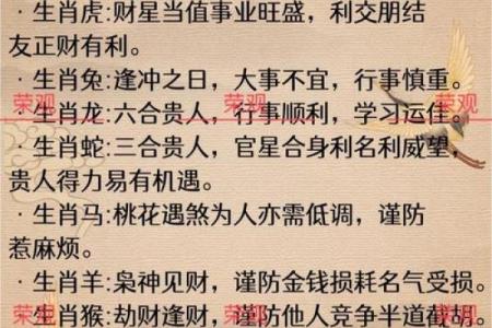 兔年出生的女孩命运如何？细说性格与人生轨迹！