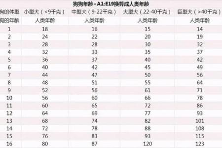 2006年属狗的人：命运与生活的深度解析