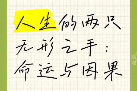 因果相连，命运交织：探索人生中的成语智慧
