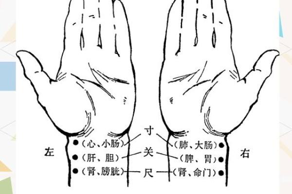 中医切脉：解读身体秘密的古老智慧与现代应用
