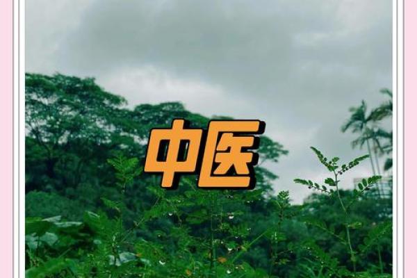 中医切脉：解读身体秘密的古老智慧与现代应用