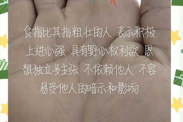 手心中的秘密：从掌纹探寻人生命运的奥秘