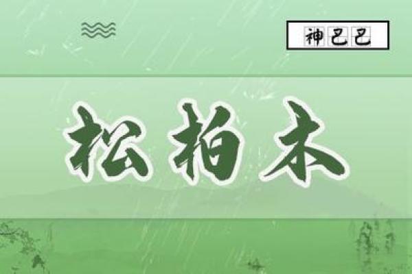 探寻柏树的命理奥秘：象征与寓意的深邃思考