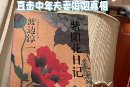 夫妻命不相生的真相与解读，探寻和谐婚姻的秘密