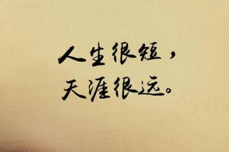 1966年：火速奔涌的星辰与激情的人生轨迹